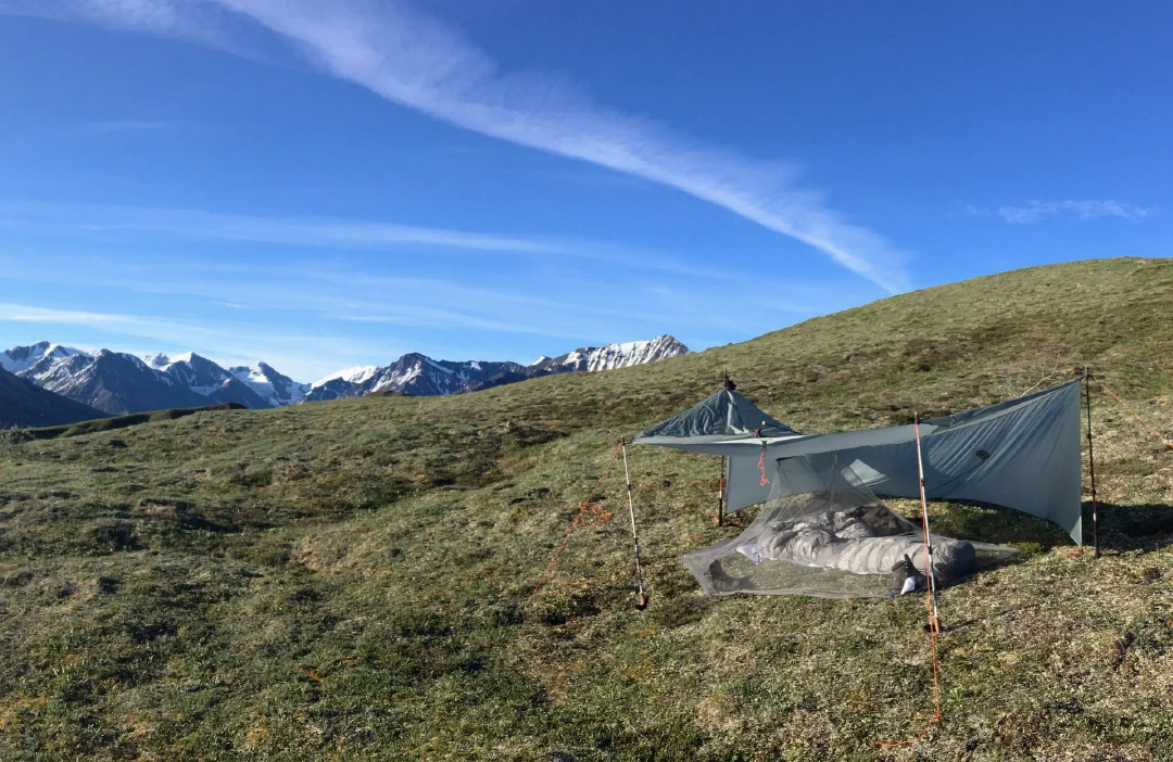 My tarp shelter and bug net pitched on tundra. I was a nervous sleeper with many grizzlies around us.