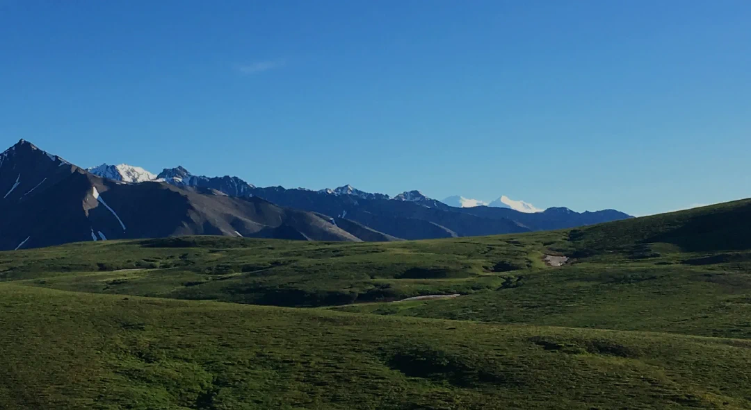 The Denali summit glowing on the far horizon beyond a dark ridge and open tundra. The summit is impossibly high, 15,000ft above this vantage.