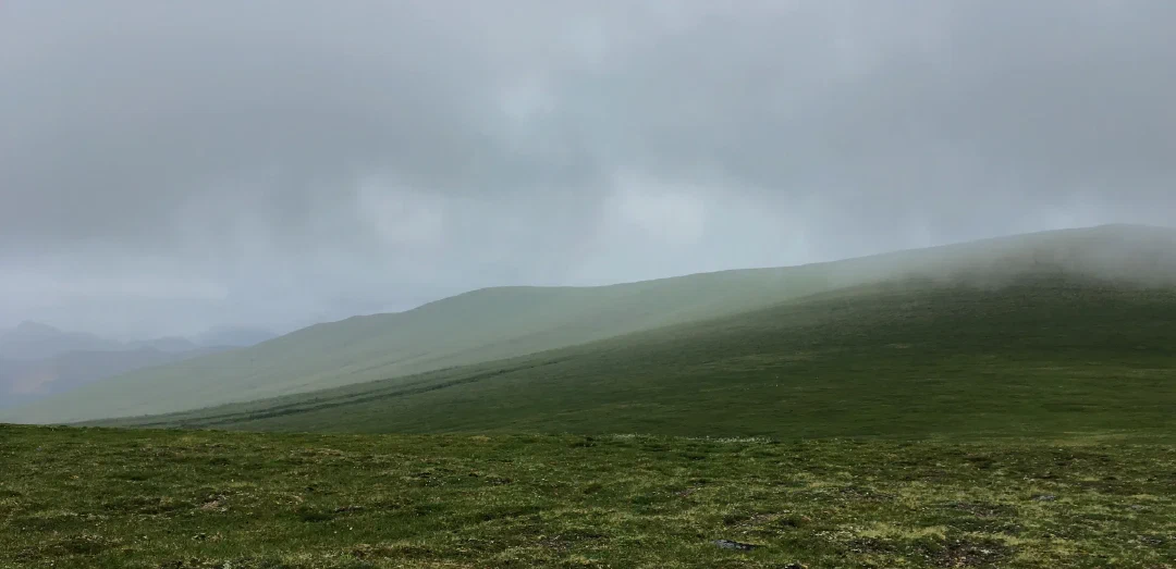 Fog drifting over a long green tundra slope. Scale defies expectations - tiny white dots on the facing rise are a herd of caribou.