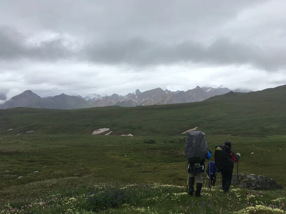 Crossing flowering tundra toward distant peaks under a heavy overcast.