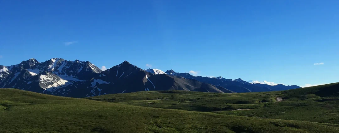 Rolling green tundra below a dark snow-patched ridgeline, Denali summit on the horizon.