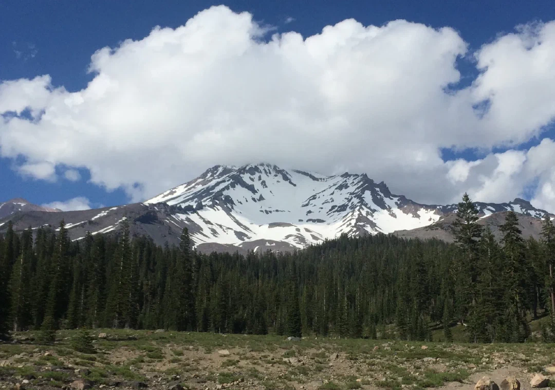 Mt Shasta’s snow-streaked summit wrapped in cloud above a dark pine forest