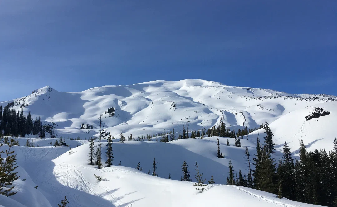 Ski tracks lacing the mountain’s rolling lower flanks under a blue sky