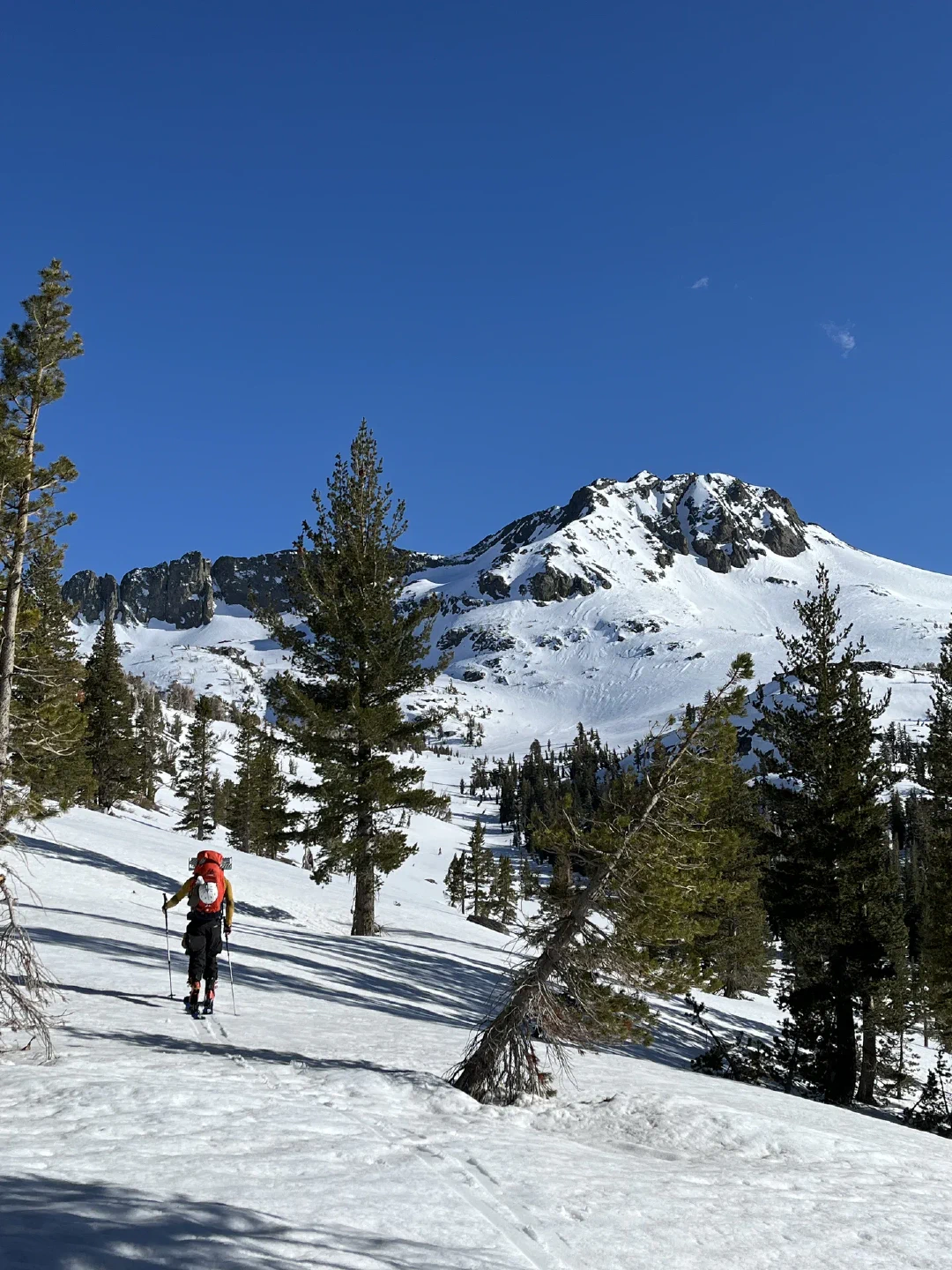 Skinning through scattered pines toward Mokelumne Wall and Round Top.