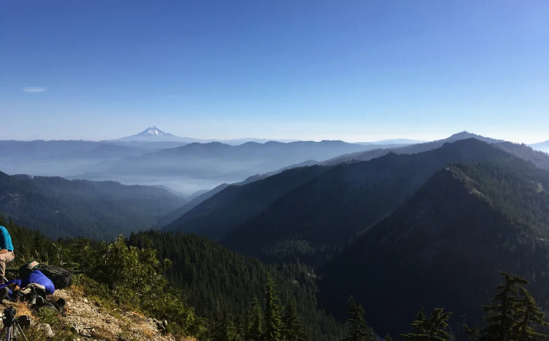 Mt Hood on the horizon.