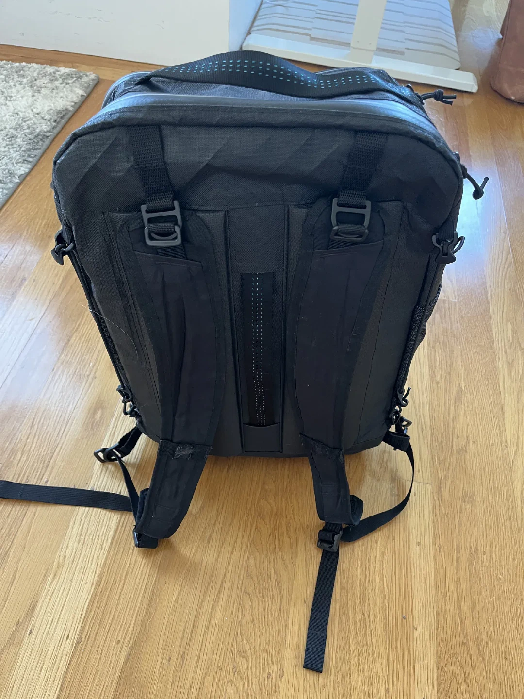 The back of the pack showing the padded harness, shoulder straps, and ventilation channel.